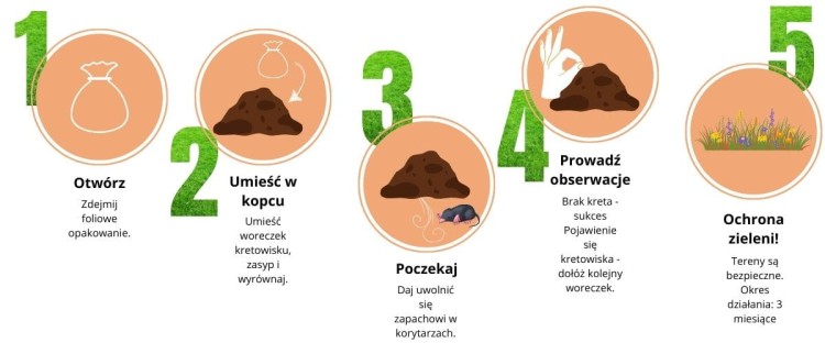 BluEvolution 82 (29).jpg