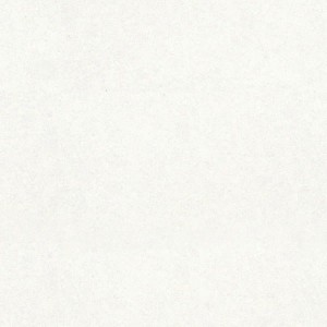 15d8cd1406852dafba1fc1b60aabfa58