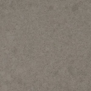 konglomerat kwarcowy pietre grey makro.jpg